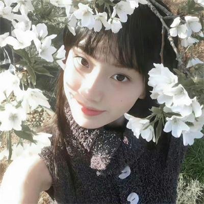 王朝的女人·杨贵妃